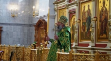 DSC01034.jpg