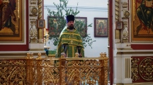 DSC01258.jpg