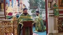 DSC01330.jpg
