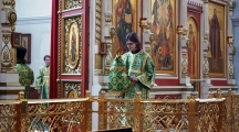 DSC01352.jpg