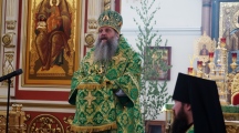 DSC01374.jpg