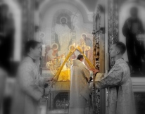 IMG_8296.JPG
